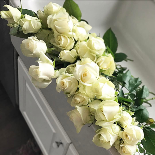 Ivory White Roses In A White Sink
