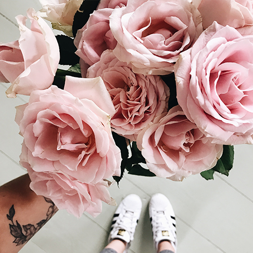 Tattooed Guy Holding Beautiful Pink Roses